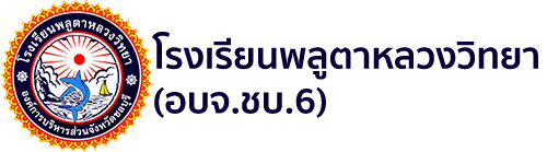 โรงเรียนพลูตาหลวงวิทยา อบจ.ชบ6.